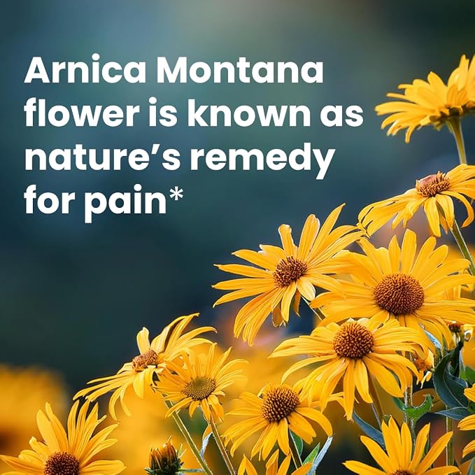 Sanar Naturals Arnica Roll On | Fast Acting Cooling Relief with Menthol Camphor & Arnica Montana | for Muscles, Joints, Back, Neck & Knees | Non Greasy Muscle Rub, 3 oz