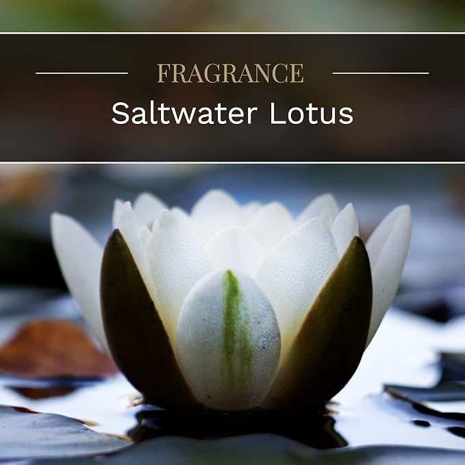 Candle-lite Scented Candles, Saltwater Lotus Fragrance, One 18 oz. Single-Wick Aromatherapy Candle with 110 Hours of Burn Time, White Color (Pack of 4)