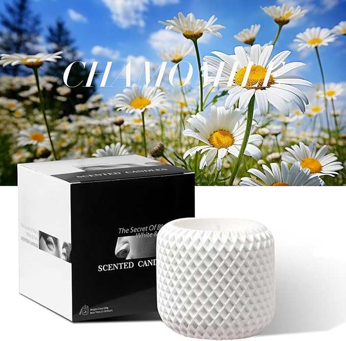 Scented Candle,Natural Chamomile Essential Oil Soy Wax Aroma Candle in Plaster Cup,Nordic Retro Style Aesthetic Candle for Relaxation,Meditation & Home Decor Gift