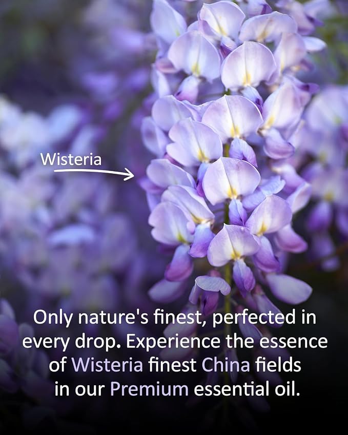 Wisteria Essential Oil 4 fl oz, 100% Pure Floral Oil for Diffusers and Home Use, Light Sweet Green Floral Aroma for Candle and Soap Making, DIY Projects, Massage Dilution, Natural Scent