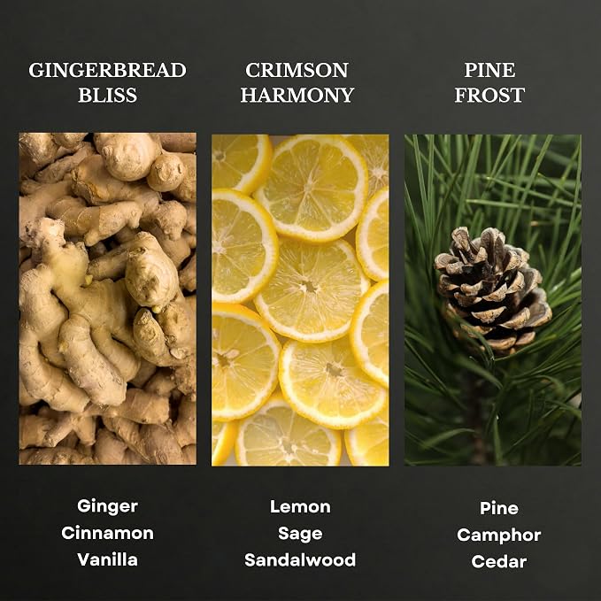 Scentia Cozy Pine Gingerbread Fragrance Oil Collection – Long Lasting Aromatherapy Diffuser Oil for Candles, Home & DIY Bakery Scents 3x20ml Discovery Set – (Perfect for Winter & Holiday)