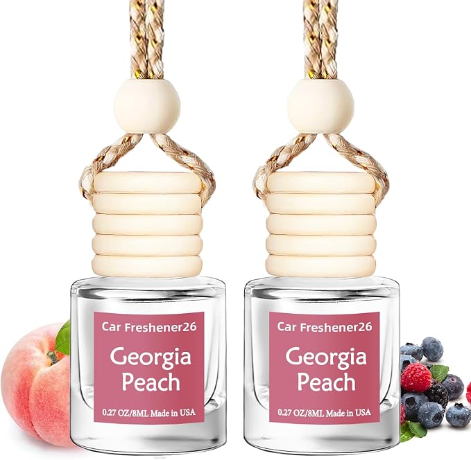 Hanging Car Air Freshener, Long Lasting Essential Oil Diffuser, Non-Toxic New Car Scent, Cute Car Fresheners for Women, 2 Pack Made in USA