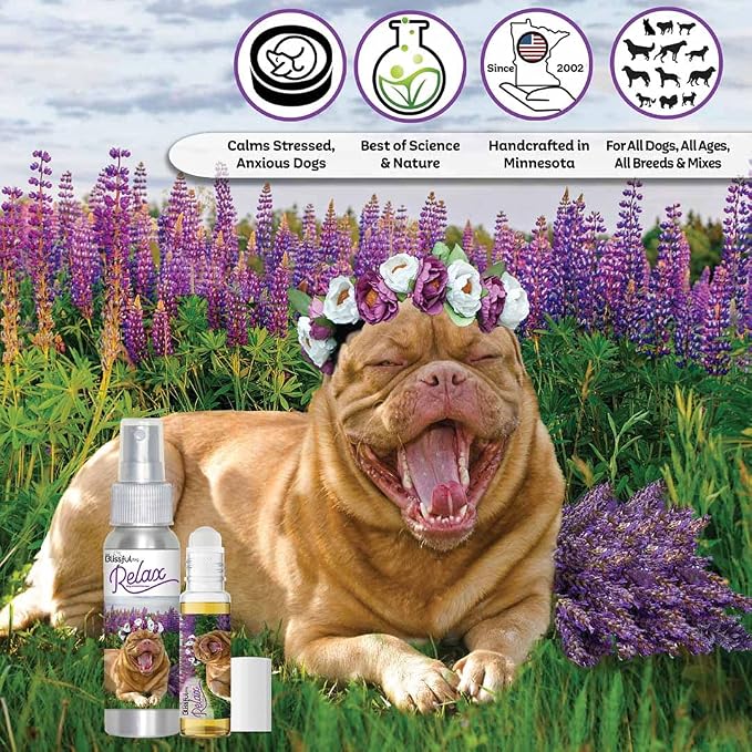 The Blissful Dog Dogue De Bourdeaux Relax Dog Aromatherapy Spray for Your Dog's Anxiety