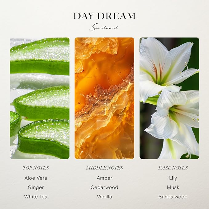 Scentiment Day Dream Diffuser Oil - Premium Hotel Scent with Notes of Aloe Vera, Cedar & White Tea Home Scent, Hotel Fragrance Oil Diffuser Refill - 1.69 fl oz (50 mL)