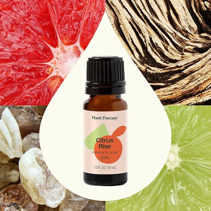 Plant Therapy Citrus Rise Essential Oil Blend 10 mL (1/3 oz) Bright, Uplifting Citrus for a Fresh Start, Perfect for Morning Motivation or Mid-Day Resets, Helps Refresh Any Space