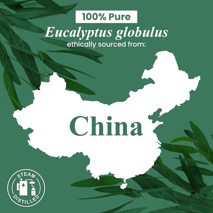 Handcraft Blends Organic Eucalyptus Essential Oil – 1 Fl Oz – 100% Pure and Natural – Premium Grade Essential Oil for Diffuser and Aromatherapy