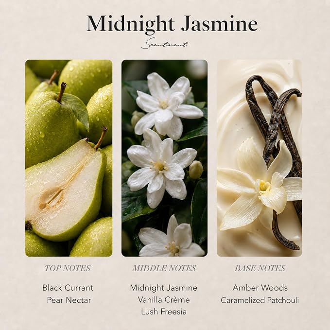 Scentiment Midnight Jasmine Diffuser Oil - Premium Hotel Scent with Notes of Jasmine, Vanilla Crème & Pear Nectar Home Scent, Hotel Fragrance Oil Diffuser Refill - 1.69 fl oz (50 mL)