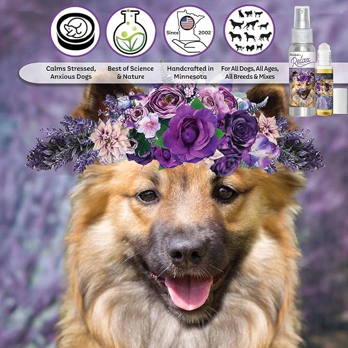 The Blissful Dog Icelandic Sheepdog Relax Dog Aromatherapy, 2.67-Ounce Spray