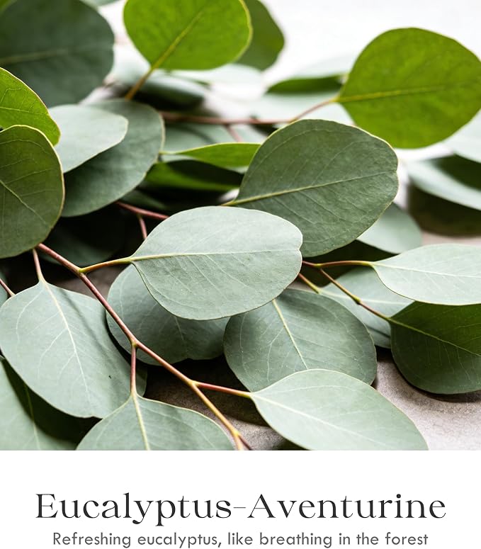 AOOVOO 2 Pack Eucalyptus Mint Candles – Aromatherapy Candle with Crystals & Eucalyptus Leaves, 13oz 100 Hours Long Lasting, Non Toxic Soy Candle for Home Spa Relaxation Meditation Yoga