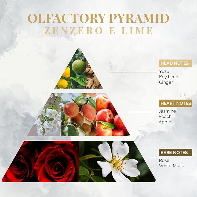 Logevy Firenze 1965 Zenzero e Lime – Ginger & Lime Luxury Home Fragrance Diffuser Refill from Master Perfumer in Italy with Spicy, Floral & Fruity Notes in Clear PET Bottle – 500ml