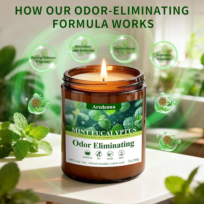 Mint Eucalyptus Odor Eliminating Candles | Eliminates 95% of Pet, Smoke, Food & Other Smells – Air Freshing Scented Candles - Gifts for Women Men, 50 Hour Burn time - 7 oz Natural Soy Wax