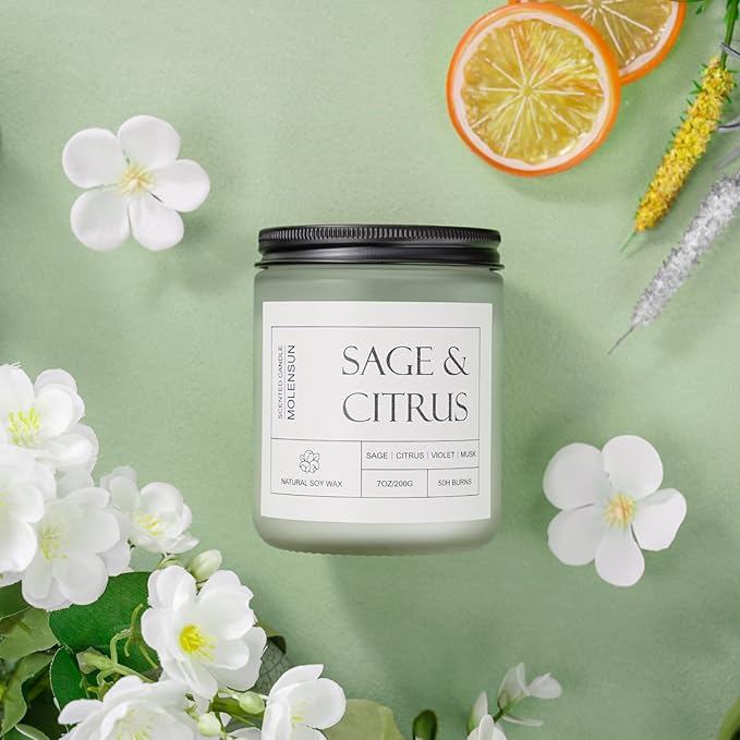 Molensun Sage & Citrus Scented Candles, Aromatherapy Jar Candle, 7 oz Long Lasting Candles, Soy Wax Candle Gift for Women