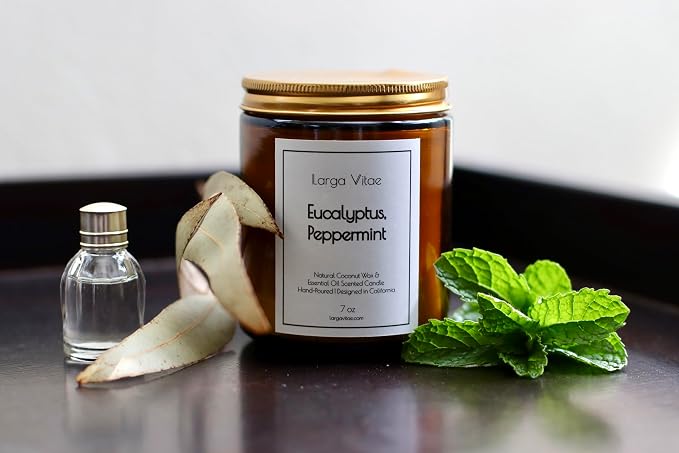 Organic Coconut Wax Aromatherapy Candle | Eucalyptus & Peppermint | Non-Toxic, Pet Safe, Allergy Friendly | Phthalate Free | Zero Waste Sustainable Gift