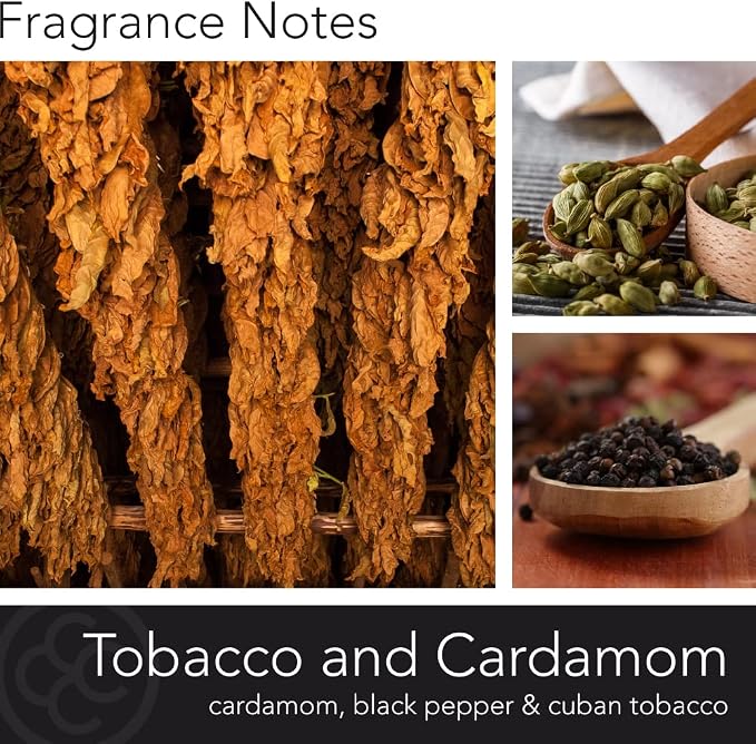 Colonial Candle Tobacco Cardamom Scented Jar Candle | 2-Wick Natural Soy Blend Wax Candle for Home | Relaxing Aromatherapy Candle Infused with Essential Oils | M. Baker Apothecary Glass Jar Candle