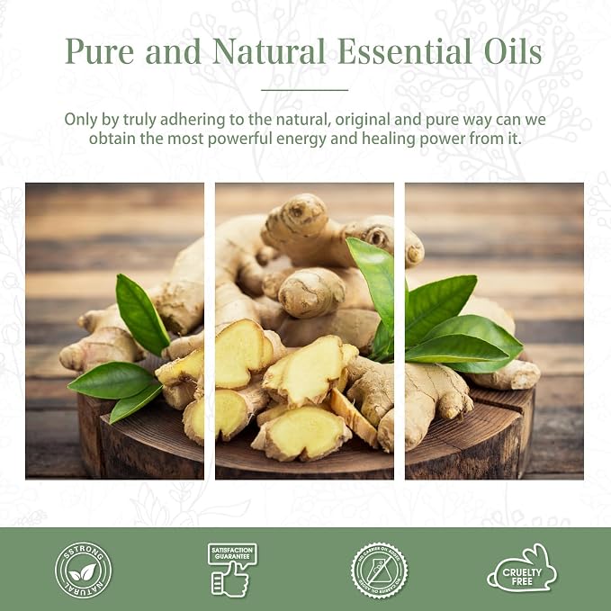 Ginger 3.38fl.oz Essential Oil, PHATOIL Pure Aromatherapy Oils for Diffuser, Humidifier, Perfect for DIY Soap, Candle, Bath Bombs Making(100ml)