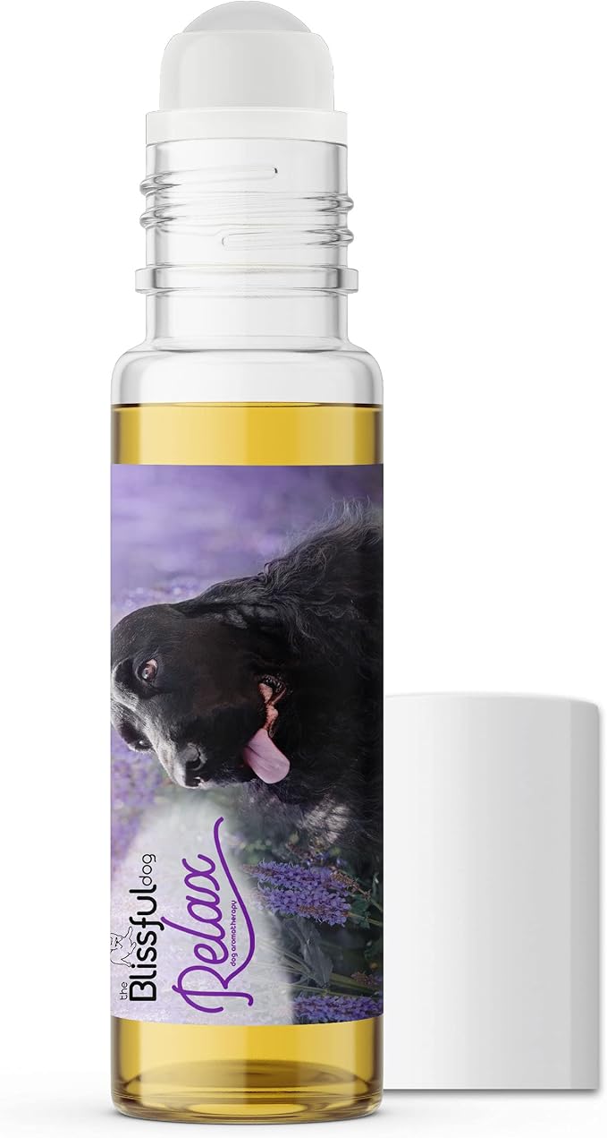 The Blissful Dog English Cocker Spaniel Relax Roll-ON Aromatherapy for Dogs - Anxiety Relief for Dogs