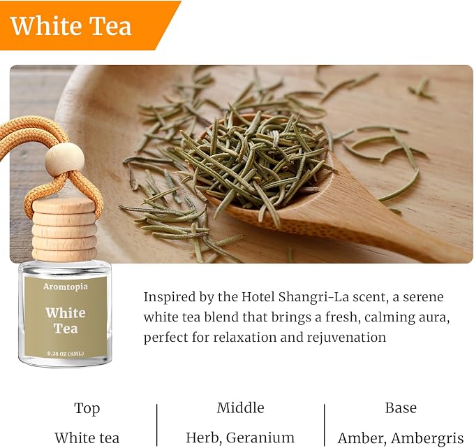 Car Air Freshener Hanging, 2 Pack Car Air Fresheners Diffuser - White Tea Fragrance Oil Diffuser for Car, Long Lasting Fragrance, Inspired by Shangri-La Hotel