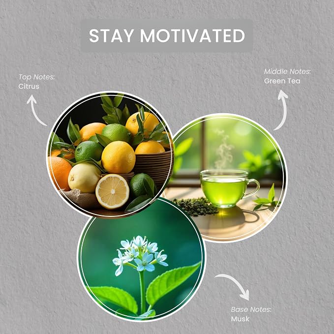 Carolina Stay Motivated Scented Wellness Wax Melts, Wax Melt Warmer Cubes, Long Lasting Scented Wax Warmer Cubes, 4 Pack, 6 Cubes Each - Made in The USA