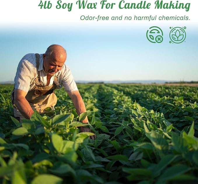 Handnatur Pro Soy Wax Melt Kit with Digital Wax Melting Pot, 4lb SOYA Wax Melter, Soy Candle Maker Set with Candle Heater, Wicks, Wick Holders, Wick Stickers