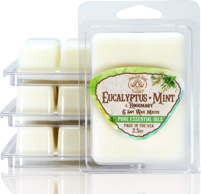 Eucalyptus-Mint Wax Melts – Aromatherapy Essential Oil Wax Melt Cubes for Spa & Refreshing Home Fragrance – Long-Lasting Wax Melt Cubes 4 Pack (24 Cubes) – Made in USA