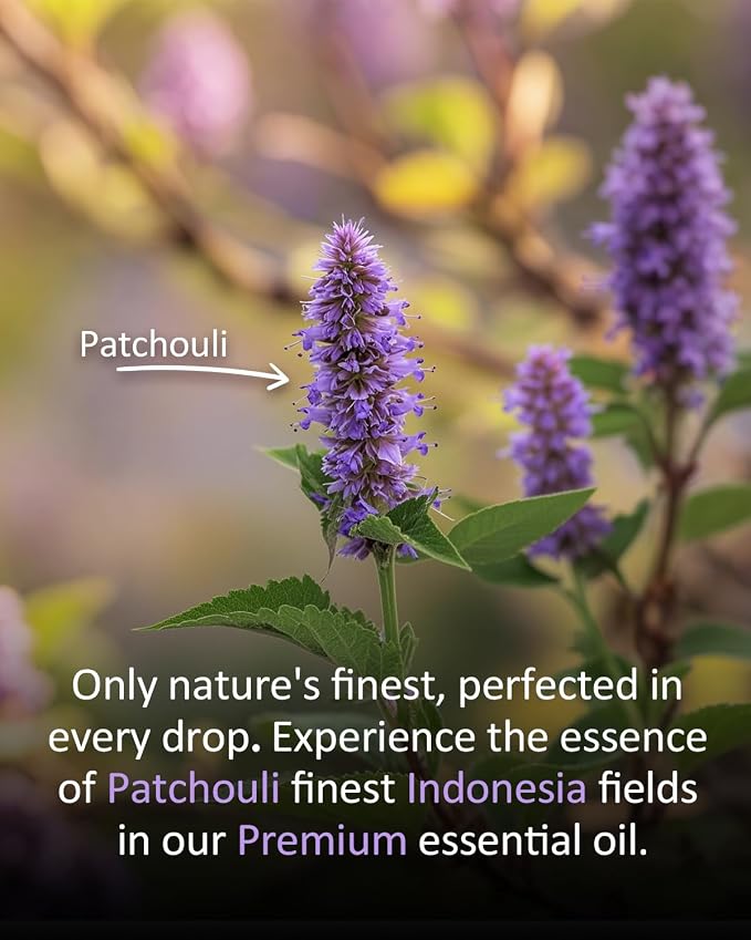 100% Pure Patchouli Essential Oil, 4 fl oz | for Diffusers, DIY Perfume, Soap Making, Aromatherapy, Skin Use, Blending & Scent Customization, Long-Lasting Aromatherapy for Home