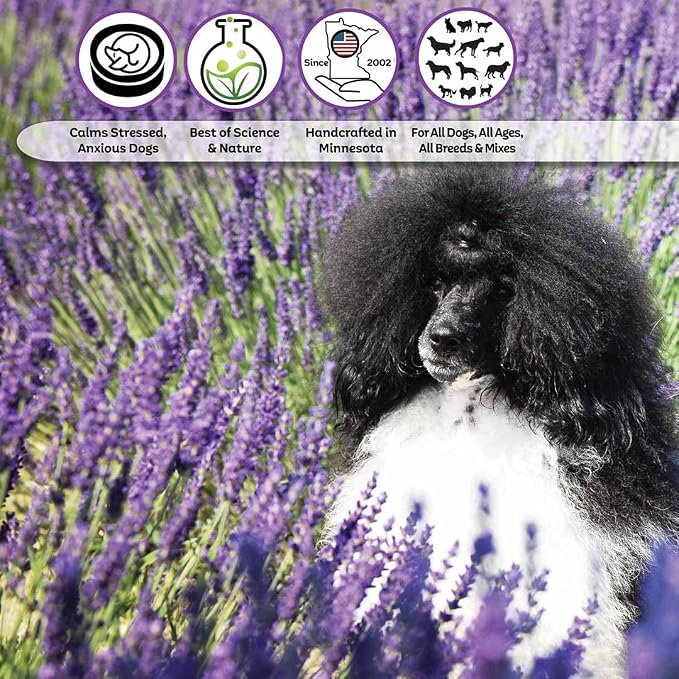 The Blissful Dog Poodle Relax Dog Aromatherapy Spray for Your Dog's Anxiety