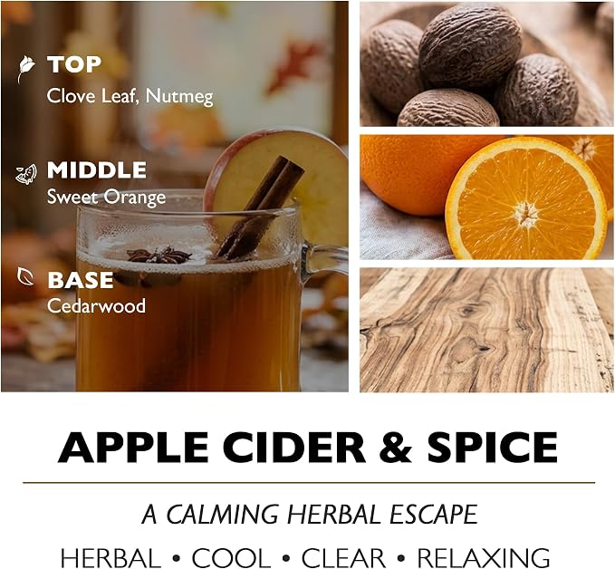 HomeLights Highly Scented Candles, Big 33.3 oz for Home, Natural Soy Aromatherapy Candles, Smokeless Long Lasting 130h with 3 Cotton Wicks, Candles Gifts for Women & Men - Apple Cider & Spice