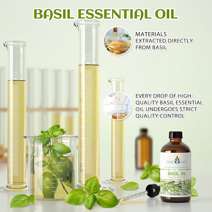 EVOKE OCCU Basil Essential Oil for Skin Massage Diffuser and Candle Making- 4 Fl Oz