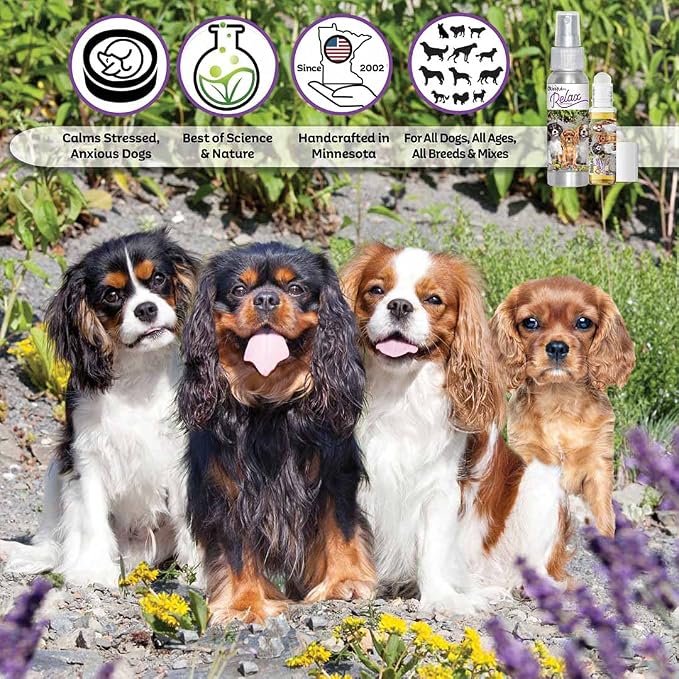 The Blissful Dog Cavalier King Charles Spaniel Relax Roll-ON Aromatherapy for Dogs - Anxiety Relief for Dogs