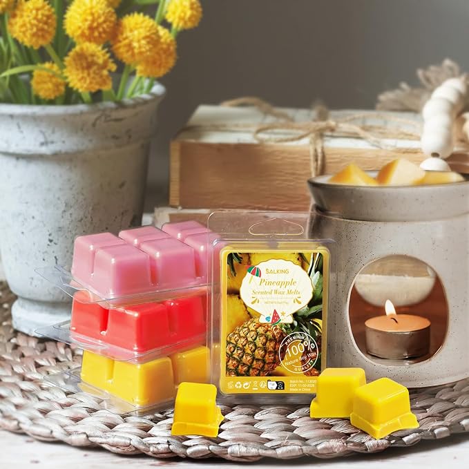 Summer Scented Wax Melts, Soy Wax Melts Gift Set, Wax Cubes/Tarts for Warmer - Ocean Breeze, Coconut, Mojito, Vanilla Ice Cream, Pineapple, Watermelon, Pink Sands, Night, 8x2.6 oz