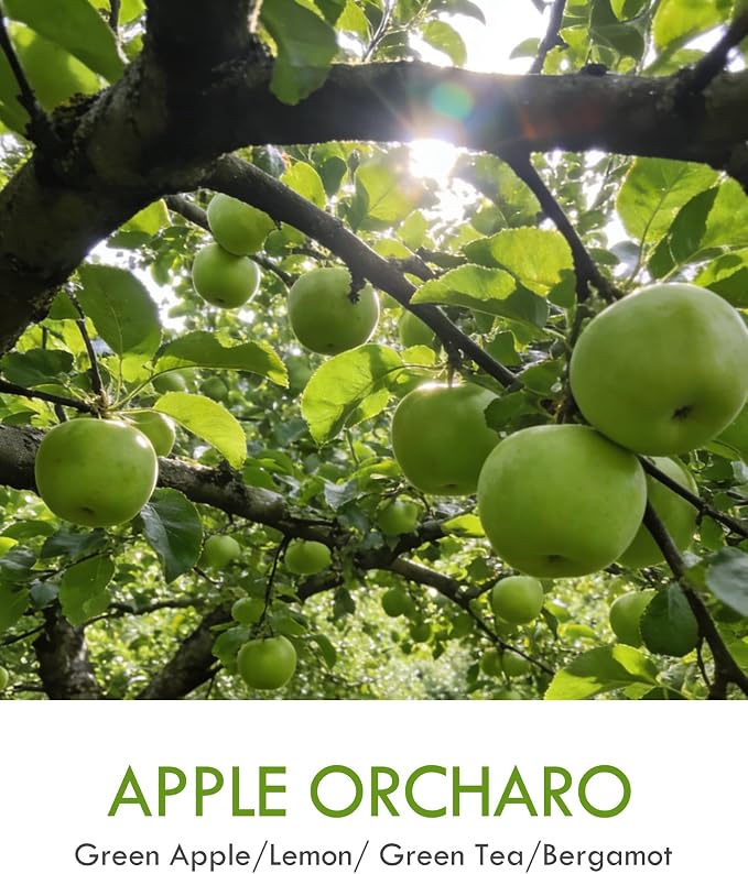 AOOVOO Apple Orcharo Odor Eliminating Candle - Up to 50 Hours Burn time, Eliminates 95% of Pet, Smoke, Food, and Other Smells Quickly, 9 oz Non Toxic Highly Fragranced Air Freshing Soy Candle