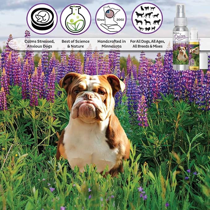 The Blissful Dog Olde English Bull Dog Relax Roll-ON Aromatherapy for Dogs - Anxiety Relief for Dogs