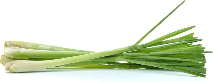US Organic 100% Pure Lemongrass Essential Oil, USDA Certified Organic, Extracted by Steam Distillation Method, for Hair, Nail Polish Remover, Bees Attraction, and More. 15 ml