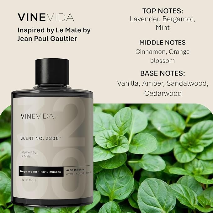 VINEVIDA [16 Fl Oz] Scent NO. 3200 Fragrance Oil for Cold Air Diffusers, Aromatic Notes of Lavender, Bergamot, Mint & Cinnamon Essential Oils for Diffuser Oil Refill & Air Freshener Spray