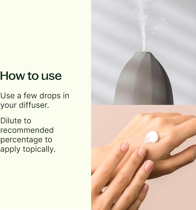Plant Therapy Top 14 Organic Essential Oil Singles Set 100% Pure Essential Oils, Undiluted, Natural Aromatherapy for Diffusion and Body Care 10 mL (1/3 oz) Each