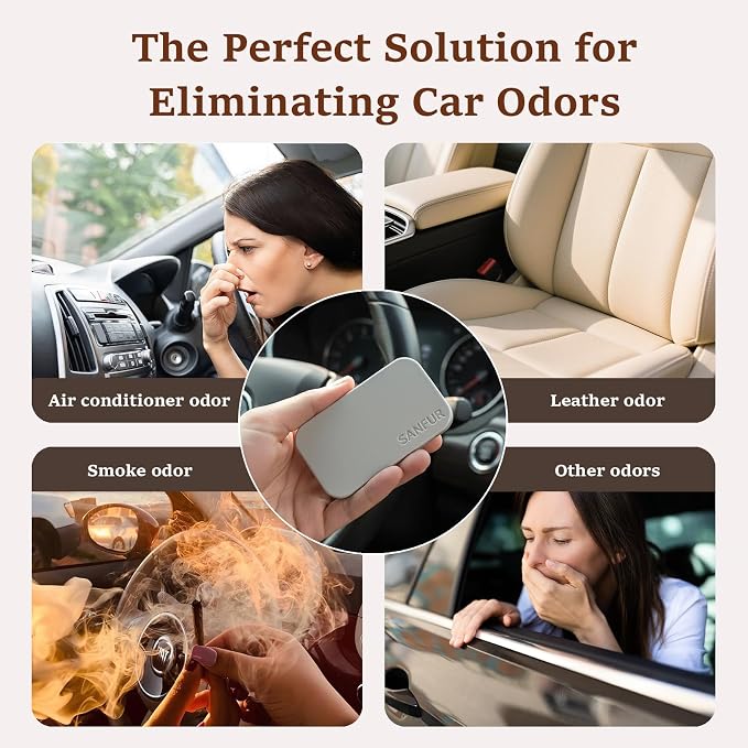 Car Air Freshener - Stone Air Freshener for Visor Clip-Long Lasting Car Odor Eliminator and Scent Diffuser for Cabin, Truck & SUV-2 Clips-Variety 4 Pack(Teak-Amber-Cabana-Open air)