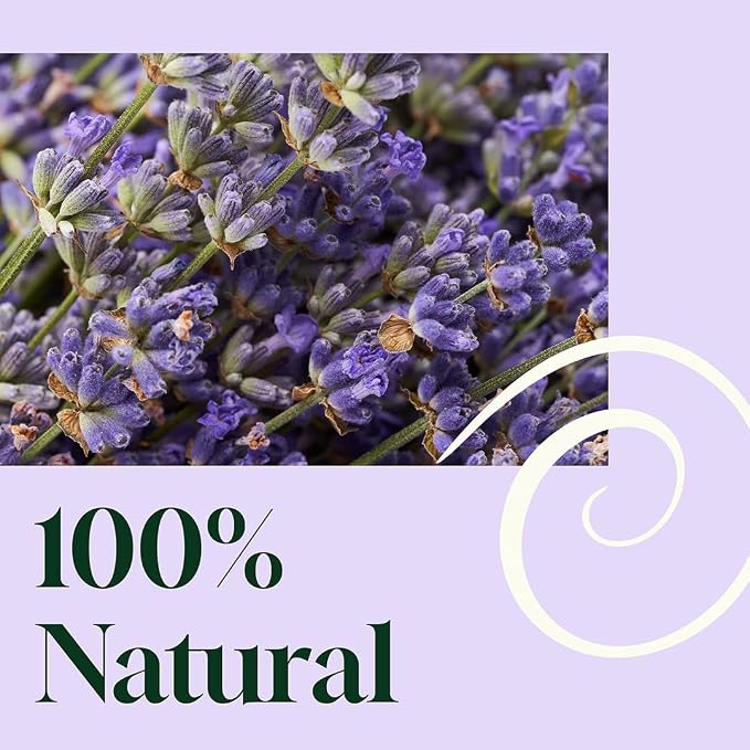 Plant Therapy Home Blissful Dreams Lavender Pillow and Linen Mist and Room Spray, for Relaxation & Sleep, Powered by Essential Oils Like Lavender & Roman Chamomile, Aromatherapy Sleep Spray, 8 oz