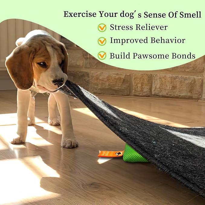 Dog Scent Training kit, Brain Games, Hide and Seek Toys - Fun Nose Work Games, Sniff and Seek Sniffing Toys, Nosework Kit, Scent Work Kit for All Ages Dog (Green)