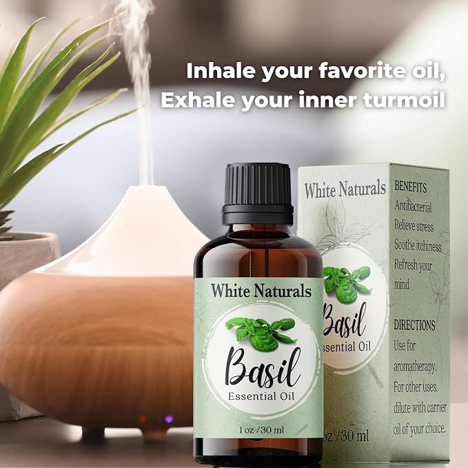 Basil Essential Oil,100% Pure & Natura, Therapeutic Grade Basil Oil for Aromatherapy, Great for Skin, Massage, Diffuser Candle & Soap Making, Plant Therapy 1 oz Bottle with Dropper