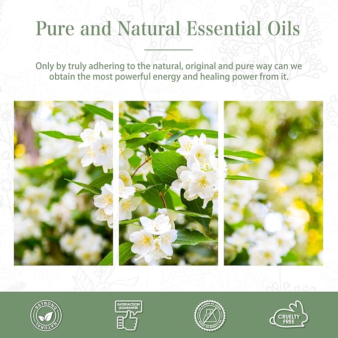 PHATOIL 3.38FL.OZ Jasmine Essential Oil with Glass Dropper, for Aromatherapy Diffusers, Humidifiers, Great for DIY Candle and Soap Making, Huge 100ML Bottle