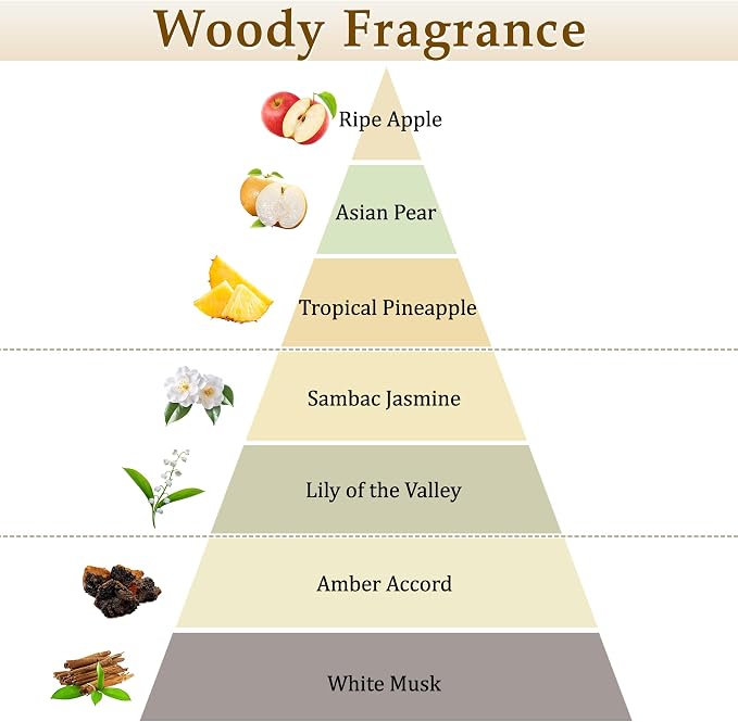 XEPTLE White Musk Reed Diffuser, Apple Pear Jasmine with Musk & Ambergris, Home Fragrance Diffuser with 5 Reeds, Air Freshener for Bedroom Living Room Bathroom Décor, 7.04oz, White