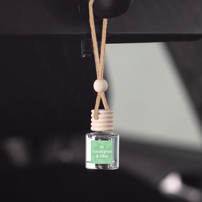 C&E Craft Co Hanging Car Air Freshener Diffuser 2 Pack, Long Lasting Fragrance Oil Car Freshener, Glass Bottle Auto Air Freshener, Made in USA (Eucalyptus & Mint)
