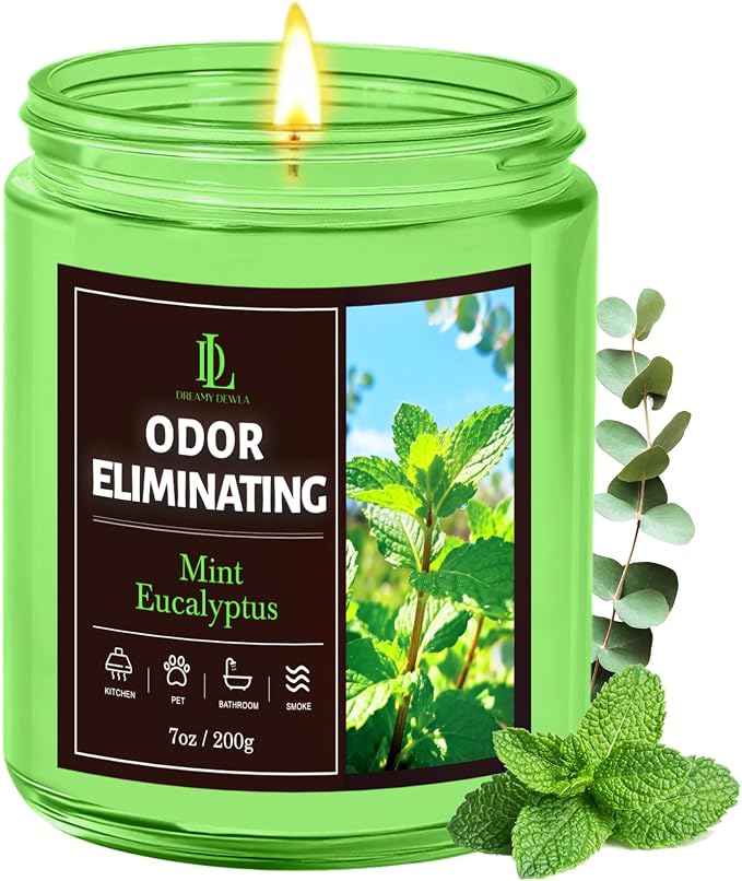 Mint Eucalyptus Odor Eliminating Highly Fragranced Candle, Eliminates 95% of Bathroom & Pet Odors Quickly, Air Freshing Scented Candles, Soy Candle Gifts for Women Men, 7oz