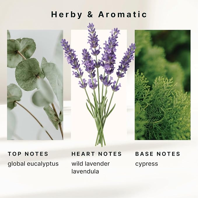 Homedics SereneScent Wellness Oil Refill for Waterless Diffusers, Lavender & Eucalyptus, 15ml Plug & Play Fragrance Oil Bottle, Aromatherapy Scent Refill for Home, Office, Bedroom, Compact Diffusers