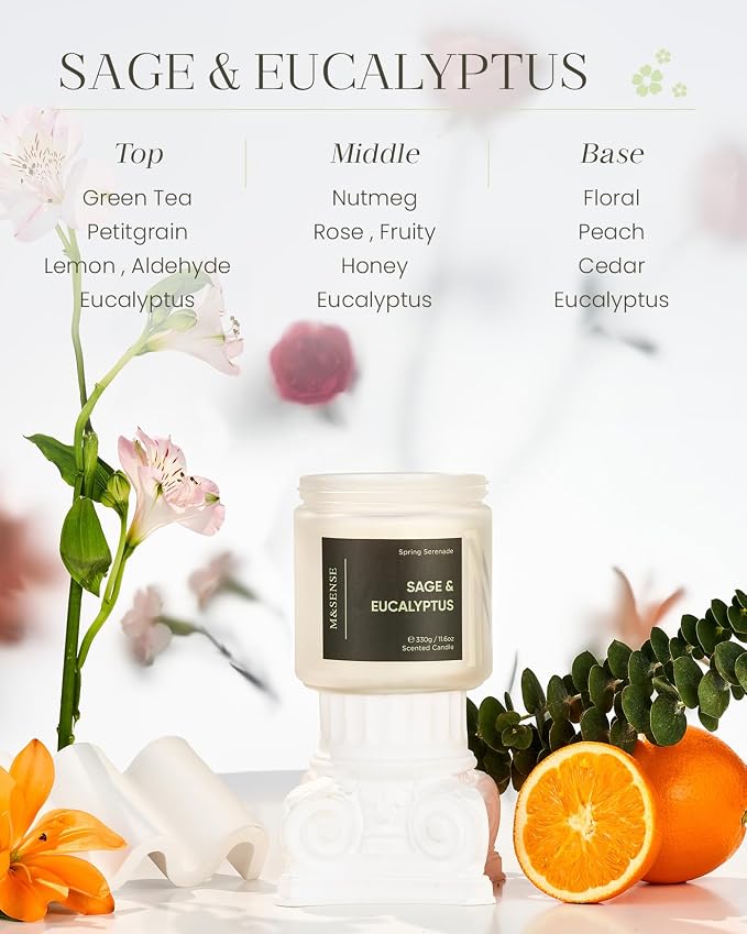 M&SENSE Eucalyptus Sage Scented Candle, 2-Wick, Natural Soy Wax, Non Toxic, 70-Hour Long Lasting Burn, 11.6oz, Spring Cleaning Candles, Fresh & Clean Scent for Home, Relaxation Gifts