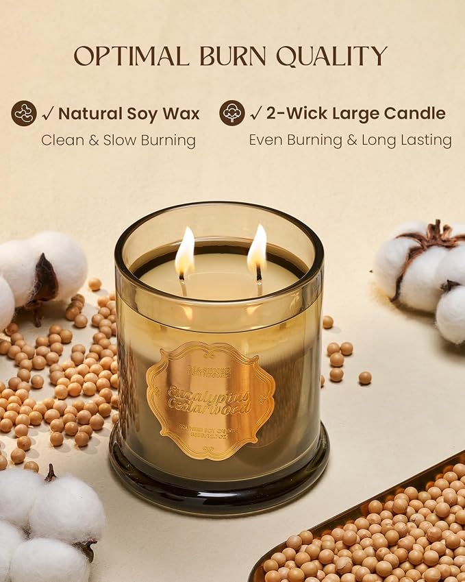 M&SENSE Eucalyptus Cedarwood Soy Candle, 2 Wick 75H Home Decor | Non-toxic, Long-lasting Aromatherapy Candles Relaxing Scent,Housewarming Gift