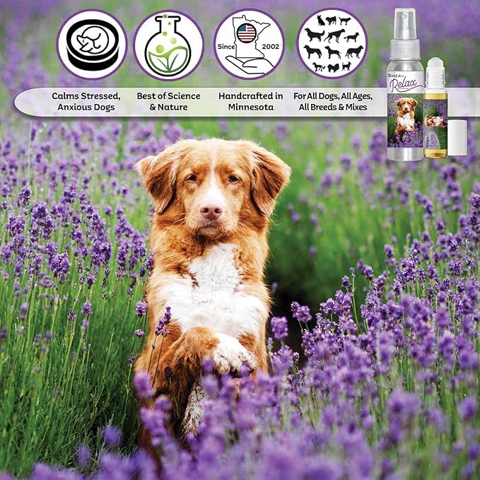 The Blissful Dog Nova Scotia Duck Tolling Retriever Relax Dog Aromatherapy Spray for Your Dog's Anxiety