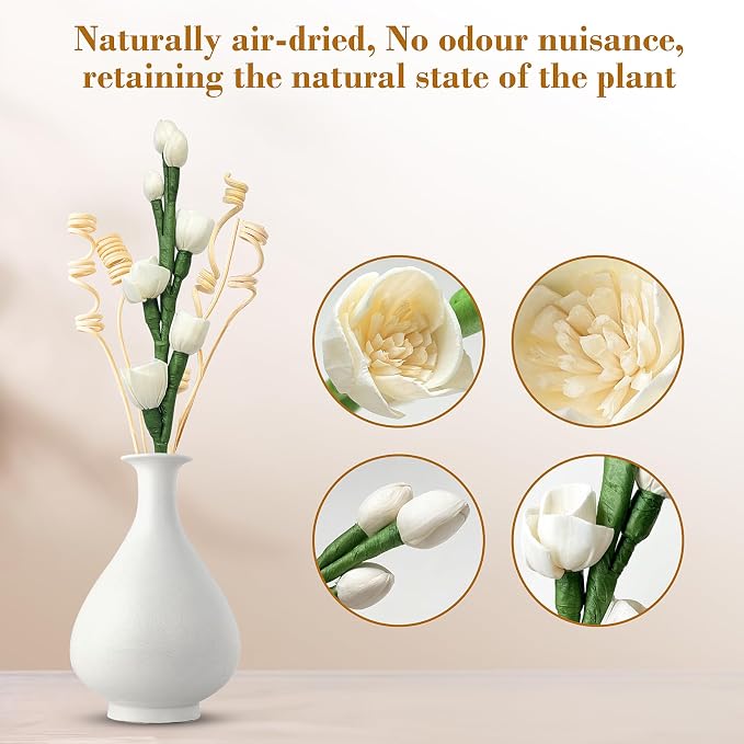 Reed Diffuser Sticks,Reed Diffuser Sticks Flowers,Reed Diffusers for Home,Bathroom Diffuser,Diffuser Set with Sticks,Natural Flower,White/Green