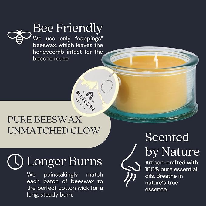 Bluecorn Botanica Beeswax 3-Wick Candle – Eucalyptus & Orange, 100% Pure Beeswax & Essential Oils – 10oz Hand-Blown Recycled Spanish Glass – Non Toxic, Clean Burning, Refillable Glass Jar