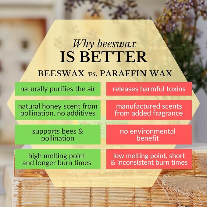 Big Dipper Wax Works Beeswax Aromatherapy Candle – Awaken, Grapefruit & Spruce, Apothecary Glass 2” x 2.5” – 25-Hour Burn, 100% Pure Beeswax with Essential Oils, Clean & Eco-Friendly